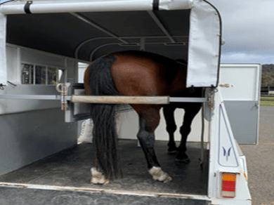 Custom horse float matting