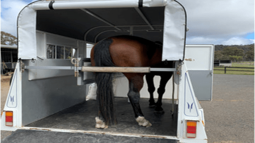 Custom horse float matting