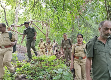 van vibhag bharti apply online