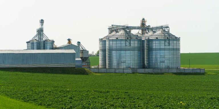 USDA Feasibility Study